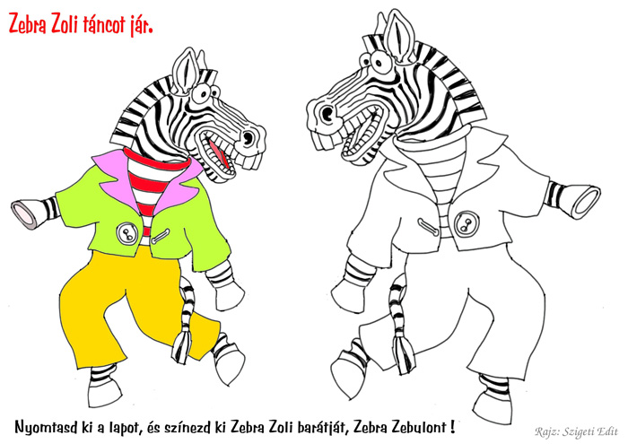 SZINEZO Zebra Zoli